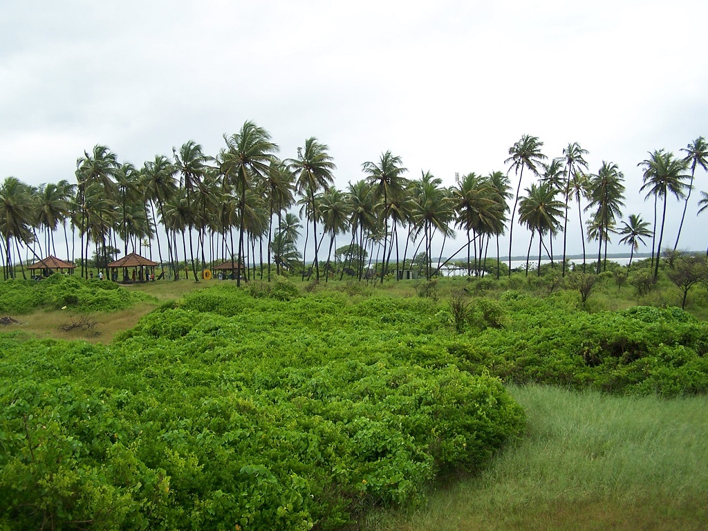Coconut Islands
